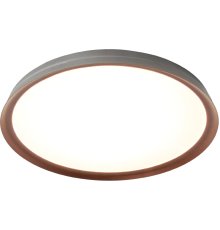 Потолочный светильник Mizi en Titan MZ31502-430