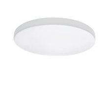 Потолочный светодиодный светильник Lightstar Zocco Cyl Led 225264