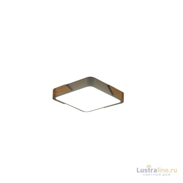 Потолочный светильник Zortes Alberro ZRS.01285.60