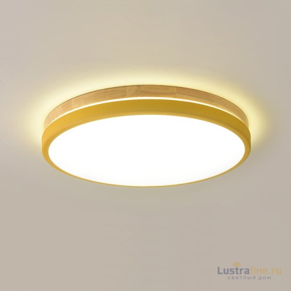 Потолочный светильник ImperiumLoft Disc 189903-26 Потолочный светильник ImperiumLoft Disc 189903-26