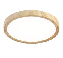 Потолочный светильник Citilux Бейсик CL738182V