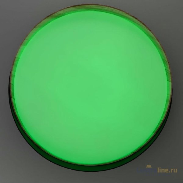 Потолочный светильник Citilux Bonny CL754351G