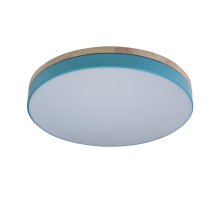 Потолочный светильник Loft IT AXEL 10001/36 Blue