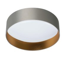 Потолочный светильник Kanlux Rifa 36467