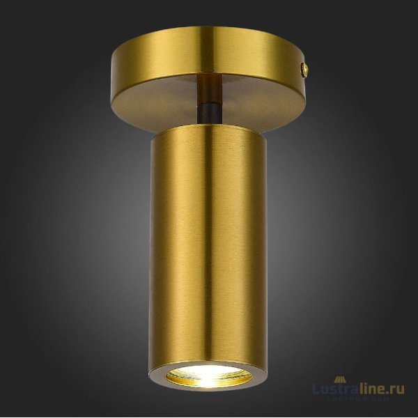 Потолочный светильник ST Luce Talia SL1215.402.01