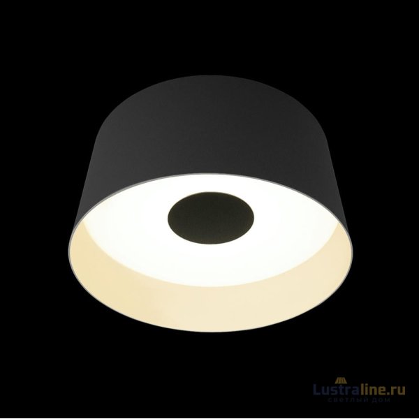 Потолочный светильник Loft IT Duo 10360M Grey Потолочный светильник Loft IT Duo 10360M Grey