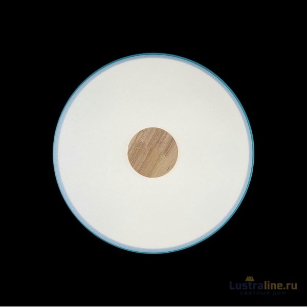 Потолочный светильник Loft IT AXEL 10003/24 Blue Потолочный светильник Loft IT AXEL 10003/24 Blue