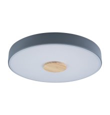 Потолочный светильник Loft IT AXEL 10003/24 Grey