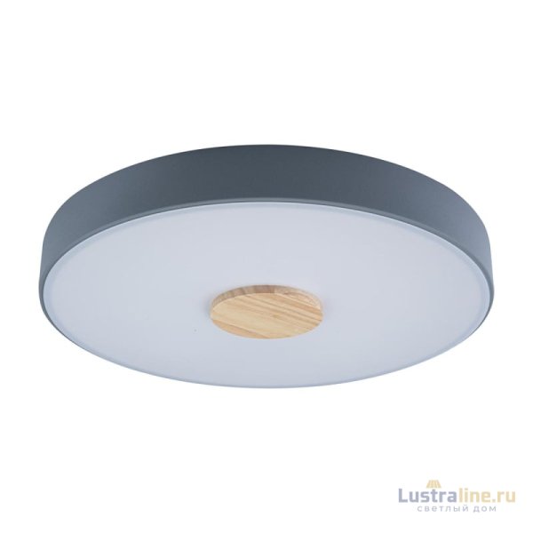Потолочный светильник Loft IT AXEL 10003/24 Grey Потолочный светильник Loft IT AXEL 10003/24 Grey