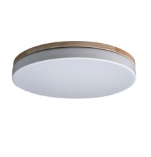 Потолочный светильник Loft IT AXEL 10001/36 White