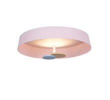 Потолочный светильник DeLight Collection MX19001031-1A pink