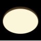 Потолочный светильник Loft IT Flims 10228/B