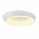 Потолочный светильник Myfar Phoebe MR9150-CL