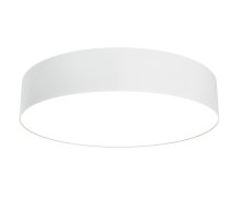 Потолочный светильник Maytoni Technical Ceiling & Wall Zon C032CL-36W3K-RD-W