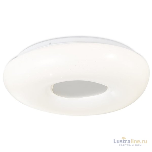 Потолочный светильник Simple Story 1203-LED24CL