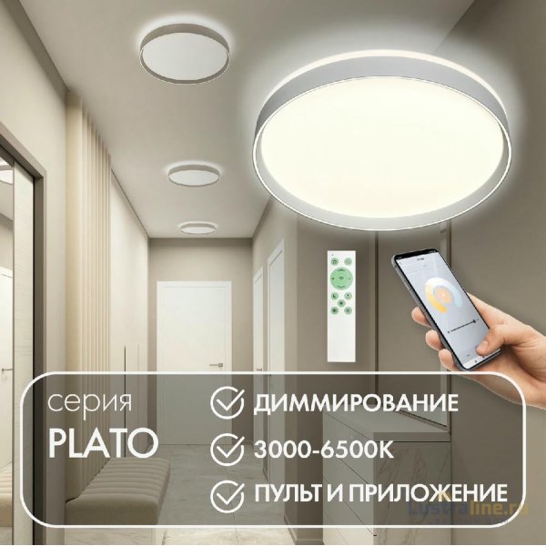 Потолочный светильник Denkirs Plato DK6511-WH/1 Потолочный светильник Denkirs Plato DK6511-WH/1