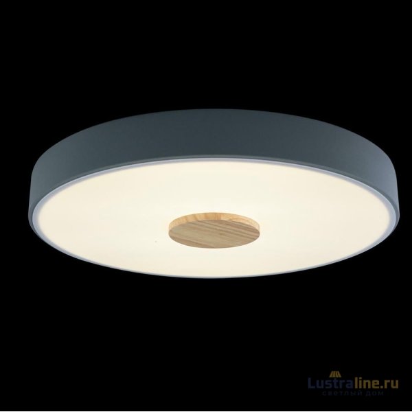 Потолочный светильник Loft IT AXEL 10003/24 Grey Потолочный светильник Loft IT AXEL 10003/24 Grey