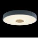 Потолочный светильник Loft IT AXEL 10003/24 Grey