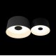 Потолочный светильник Loft IT Duo 10360/2