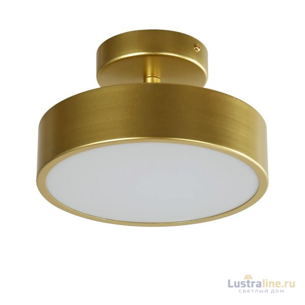 Потолочный светильник F-Promo Atma 3059-2P Потолочный светильник F-Promo Atma 3059-2P