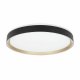 Потолочный светильник Citilux Boss CL751451G