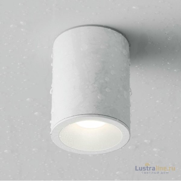 Потолочный светильник Maytoni Antares C029CL-01W