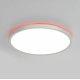 Потолочный светильник Citilux Norma CL749320