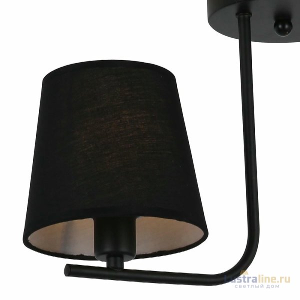 Потолочный светильник Illumico IL8134-2COU-79 BK Beti