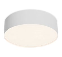Потолочный светильник Maytoni Technical Ceiling Zon C032CL-24W4K-RD-W