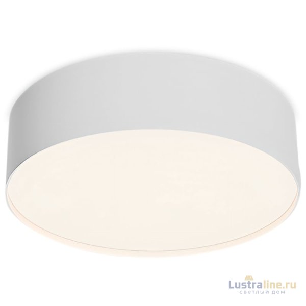 Потолочный светильник Maytoni Technical Ceiling Zon C032CL-24W4K-RD-W