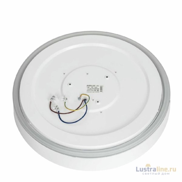 Потолочный светильник Citilux Boss CL751350G