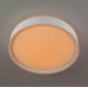 Потолочный светильник Citilux Boss CL751250G