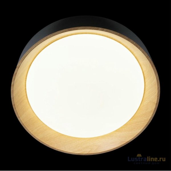 Потолочный светильник Loft IT Coin 10202 Black Потолочный светильник Loft IT Coin 10202 Black