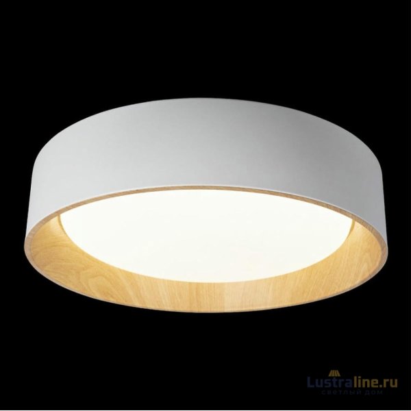 Потолочный светильник Loft IT Coin 10202 White Потолочный светильник Loft IT Coin 10202 White
