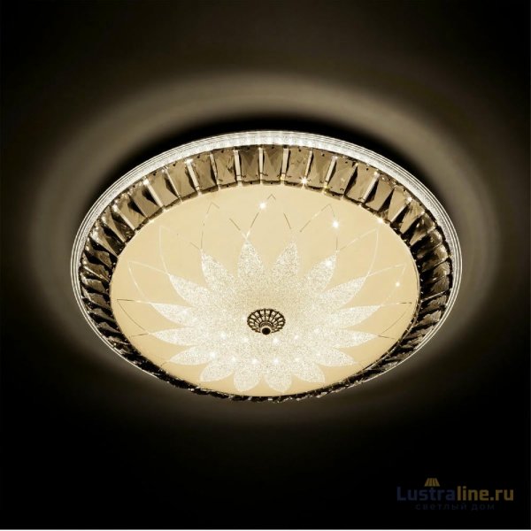 Потолочный светильник LED4U L1159-500 CR