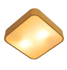 Потолочный светильник Arte Lamp Cosmopolitan A7210PL-2GO