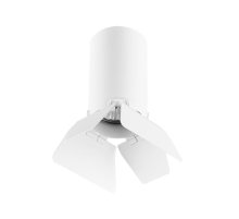 Потолочный светильник Lightstar RULLO R436436 (214436+202436)