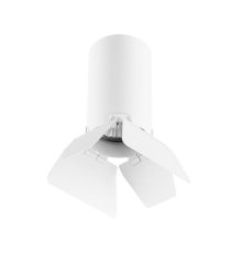 Потолочный светильник Lightstar RULLO R436436 (214436+202436)
