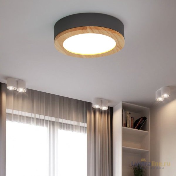 Потолочный светильник ImperiumLoft Wudda 179761-26