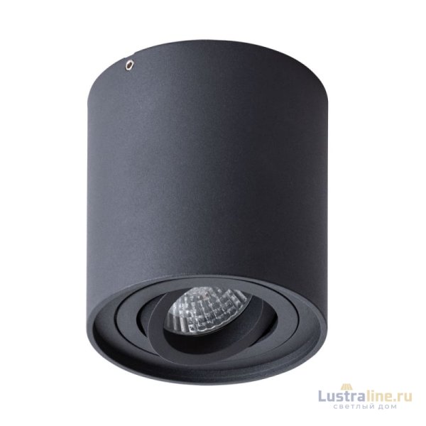 Потолочный светильник Arte Lamp Falcon A5645PL-1BK