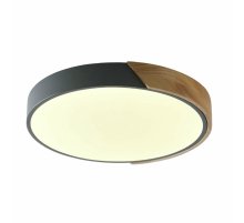 Потолочный светильник Zortes Alberro ZRS.01280.24