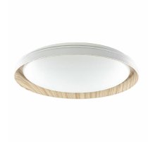 Потолочный светильник Citilux Mega CL752452G