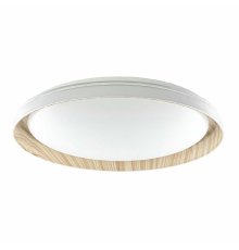 Потолочный светильник Citilux Mega CL752452G