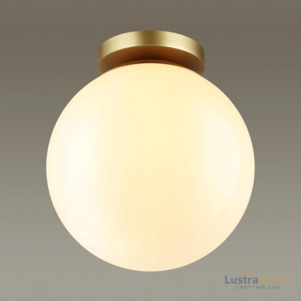 Потолочный светильник Odeon Light 4248/1C Потолочный светильник Odeon Light 4248/1C