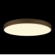 Потолочный светильник Loft IT Flims 10228/B