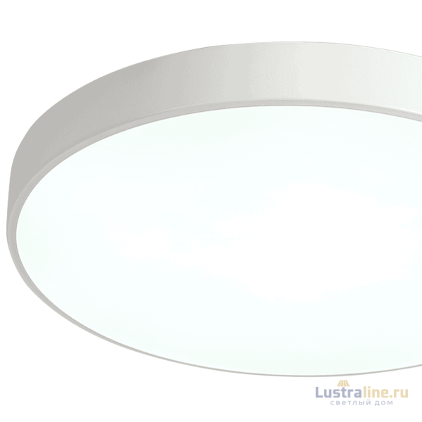 Потолочный светильник Zortes Tortty ZRS.02564.96 Потолочный светильник Zortes Tortty ZRS.02564.96