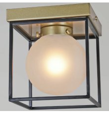 Потолочный светильник Illumico IL0050-1C-79