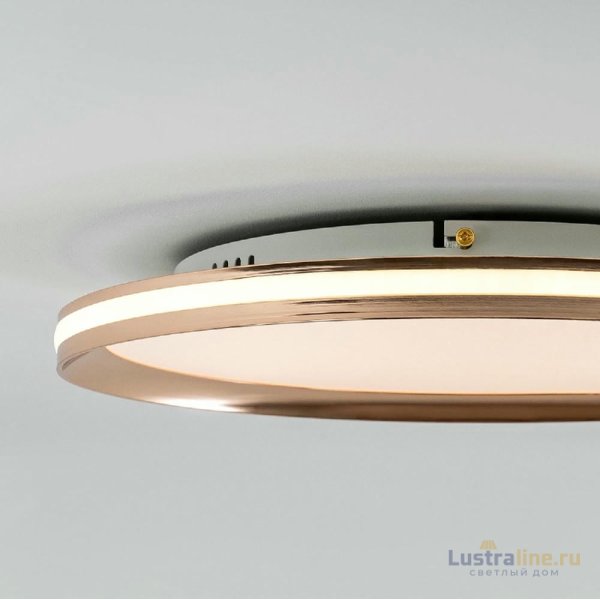 Потолочный светильник LED4U L3020-400 GD Потолочный светильник LED4U L3020-400 GD