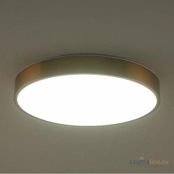Потолочный светильник Zortes Tortty ZRS.02566.72 Потолочный светильник Zortes Tortty ZRS.02566.72