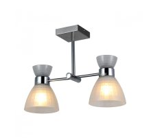 Потолочный светильник IMEX MD.19110-2-S-CH